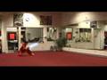 Wushu Duel