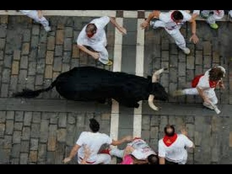 'Running of the Bulls' Ends in Gore and Injuries