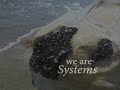Biomimicry Biomimicry