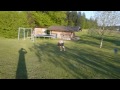 Click here to watch this video For Backflip Day