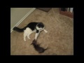 Otto vs. Izzy