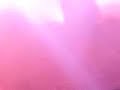 ghostyle  tomorrowland 2008