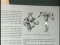 in diesem sind ein werle und ein stankowski versteckt...wer sie findet, darf sich freuen!