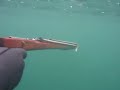 Gun testing