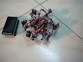 mini hexapod