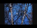 ROD stewart--- I' ll stand by you  - videoclipul lui aura_m