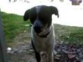 videos de angelito.mp4