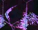 Klaus Schulze. Stardancer II