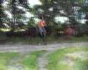videos de Lits+Lauwers009 Mâlewei08