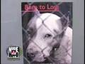 DOG FIGHTING