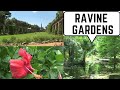 Ravine Gardens State Park Palatka Florida - YouTube