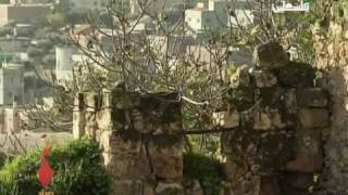 حكاية بلد قرية المغار