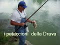 Il Pigna in Drava con ciccia e bolognese (foto) Il Pigna in Drava con ciccia e bolognese (foto)