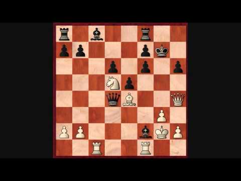 magnus carlsen