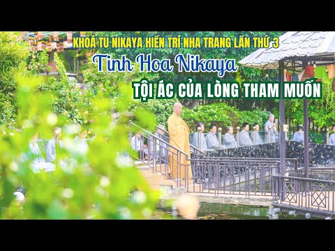 Tinh Hoa NIKAYA - Tội Ác Của Lòng Tham Muốn *