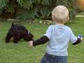videos de Diego Chases Cars