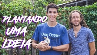 PLANTANDO UMA IDEIA // PLANTING AN IDEA