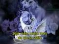 Assistir ao v�deo