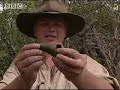 Ray Mears Extreme Survival: Food on the Mangroves