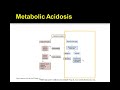 metabolic acidosis, metabolic acidosis symptoms, metabolic acidosis treatment, metabolic acidosis causes, anion gap, hyperchloremic metabolic acidosis, acidemia, pH, hyperventilation, chronic metabolic acidosis, lactic acidosis, ketoacidosis