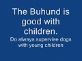 The Norwegian Buhund Dog Breed Info Talk with Slides