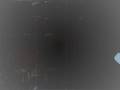 videos de LA BIRRA