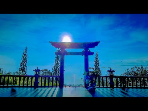 Tinh Hoa NIKAYA - Tưởng Niệm Bậc Đạo Sư Tôn Kính 2 !