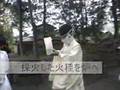 新潟まつり動画16