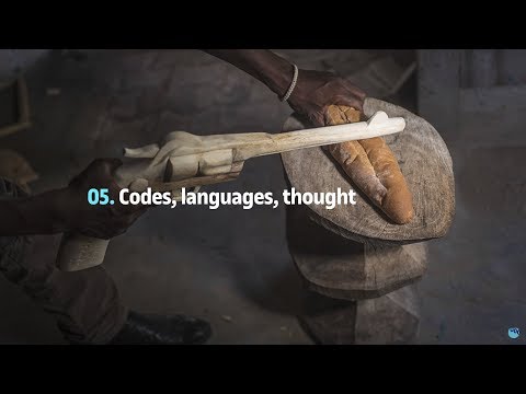 Codes, languages and thought