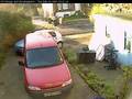 Thieving Scally