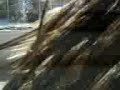 TRiiO iinf3rnal - x3
