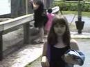 2007, Hyannis, Massachusetts - Zoo, Beach, Carousel