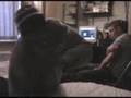 UndergroundTV - Pantha