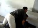 bolita memorable a jose luis