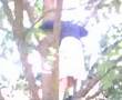 Climbing a Tree