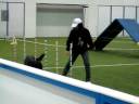 Maja Agility Competetion 11-30-2008 Round 2.avi Maja Agility Competetion 11-30-2008 Round 2.avi