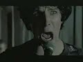 Roadkill - Engerica Roadkill - Engerica