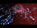 3D sperm fertilization project 3D sperm fertilization project