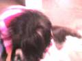 katty juegando con le kukin