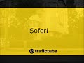 Șoferi