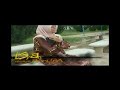 intro Selagi Ada Cinta