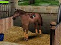 comment s'occuper de son cheval sur meo,by x-p0w-liine & spider dune =p