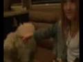 Noah Cyrus and her dogs