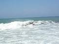 videos de bodyboard ilbaritz