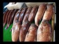 sams-big-in-japan-5meeting-fellow-youtube-gaijin.html