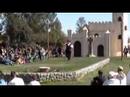 adam-winrich-two-whips.html
