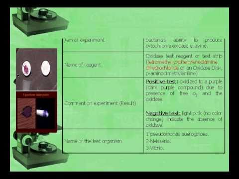 how to do mr vp test