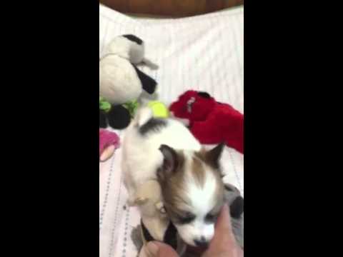 Elsa is a sweet, loving little girl.