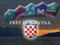 GENERAL ANTE GOTOVINA