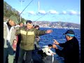 PALAMUT DOLU ÇAPARİ 2